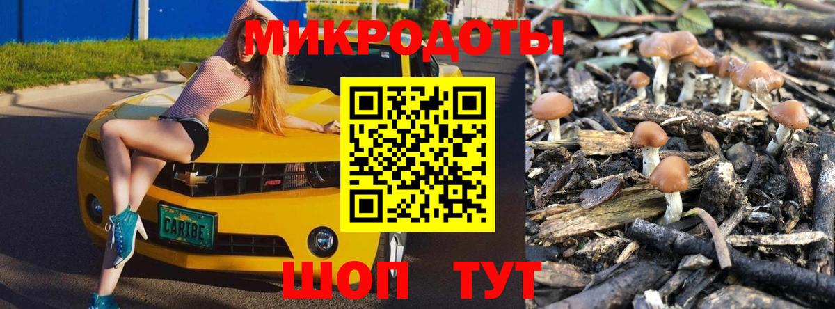 купить закладку  Галлюциногенные грибы Psilocybine cubensis  Набережные Челны  Вход с VPN  Псилоцибиновые грибы GOLDEN TEACHER 