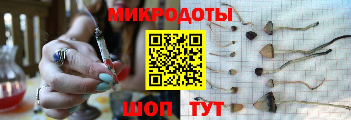 Псилоцибиновые грибы Cubensis Набережные Челны
